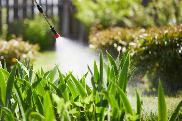 Tamper-Resistant Bait Stations for Rodents in Bell Gardens