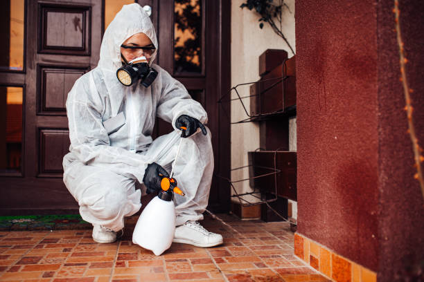 Attic and Crawl Space Rodent Treatment in Bell Gardens