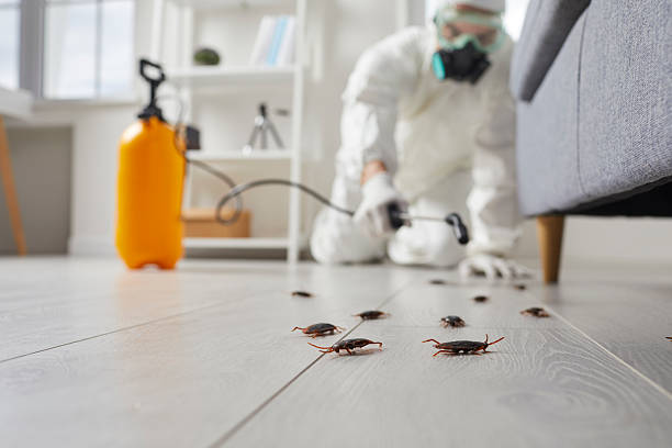 Commercial Rodent Management in Bell Gardens